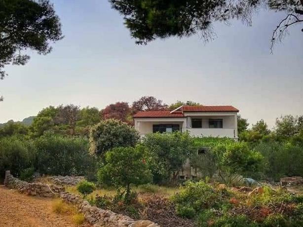 Apartmani Lina Veliki Drvenik Bagian luar foto